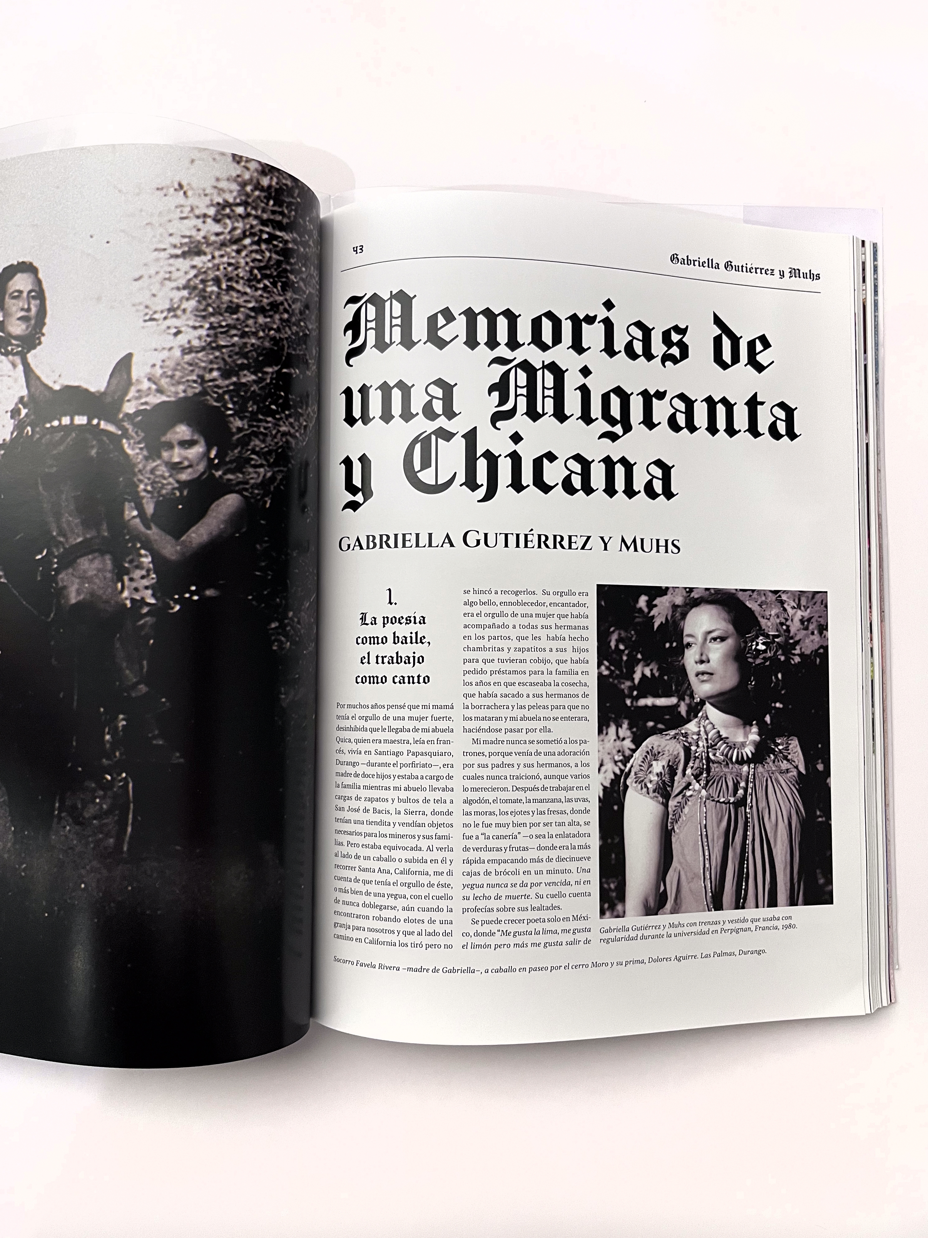 Migrantes Valientes: Stories of the South and the North