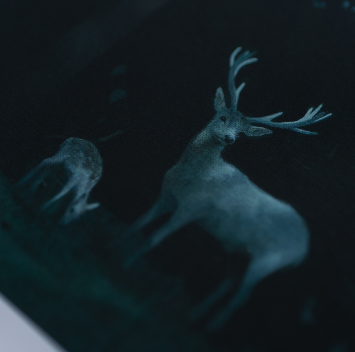 Fawn born in Winter
